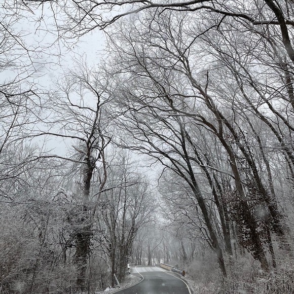 Meet your Posher, Riley - Picture 1 of 1